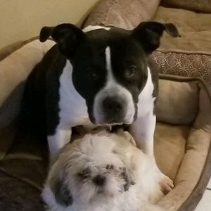 Meet your Posher, Daarina